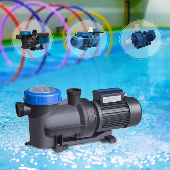 Fornitura in fabbrica Attrezzatura per piscina Accessori per piscina